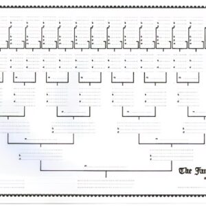 Chart - 6 generation